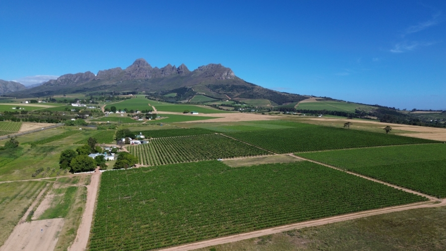 Commercial Property for Sale in Stellenbosch Farms Western Cape